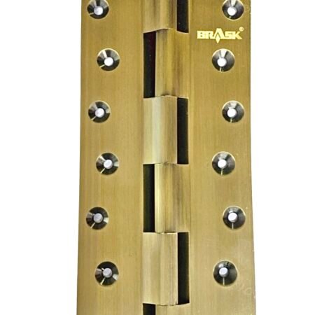 Brass Railway Hinges 8" Antique